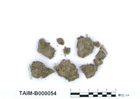 藏品(真苔)的圖片